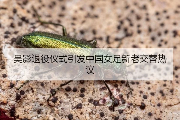 wu-ying-tui-yi-yi-shi-yin-fa-zhong-guo-nv-zu-xin-lao-jiao-ti-re-yi-2-513.jpg